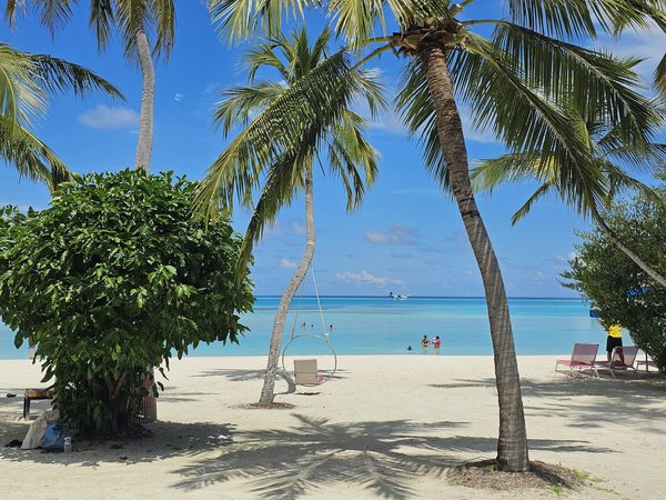 Discover the Ultimate Guide to Unforgettable Medieval Castle Reenactments and Historical Events Across the UK