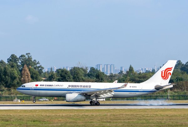 Discover the timeless mysteries of hadrian's wall: embark on a captivating guided journey!